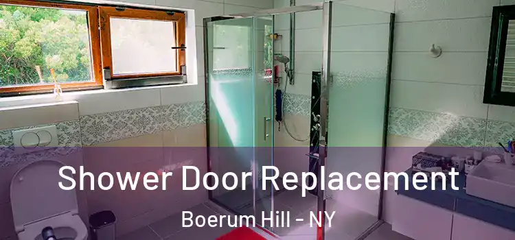 Shower Door Replacement Boerum Hill - NY