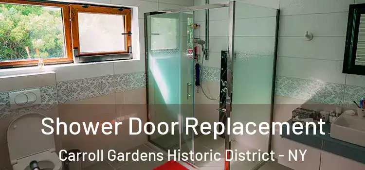 Shower Door Replacement Carroll Gardens Historic District - NY