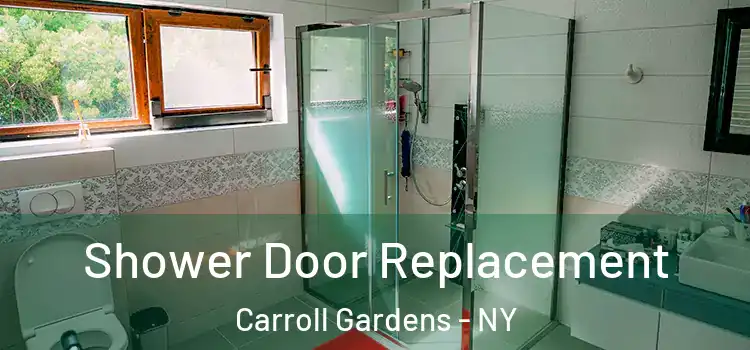  Shower Door Replacement Carroll Gardens - NY