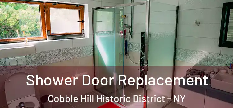  Shower Door Replacement Cobble Hill Historic District - NY