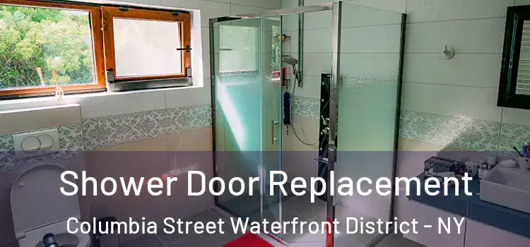 Shower Door Replacement Columbia Street Waterfront District - NY