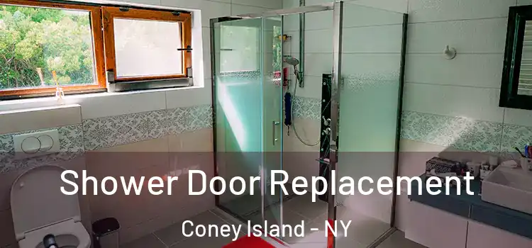Shower Door Replacement Coney Island - NY