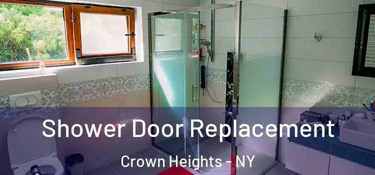  Shower Door Replacement Crown Heights - NY
