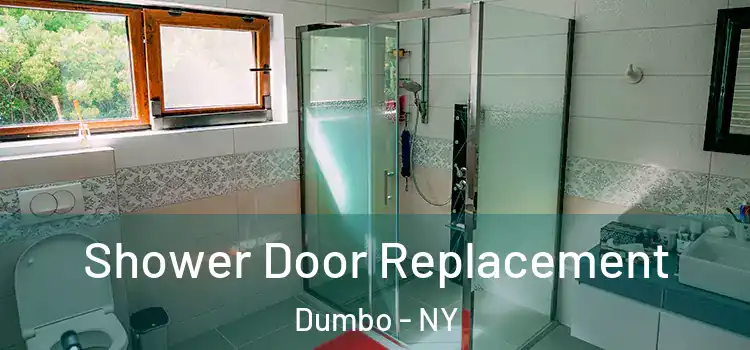 Shower Door Replacement Dumbo - NY
