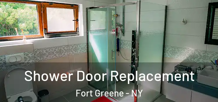 Shower Door Replacement Fort Greene - NY