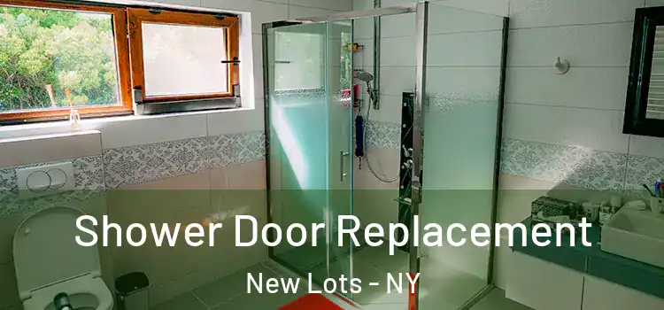 Shower Door Replacement New Lots - NY