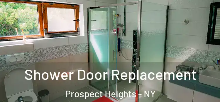 Shower Door Replacement Prospect Heights - NY