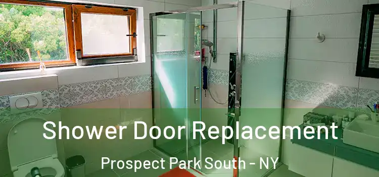 Shower Door Replacement Prospect Park South - NY