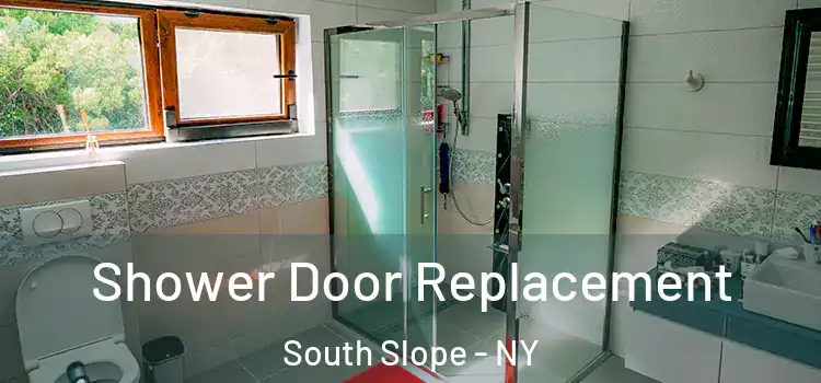  Shower Door Replacement South Slope - NY