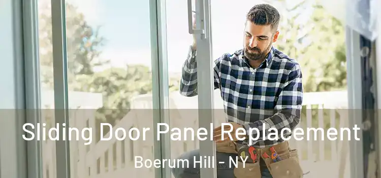  Sliding Door Panel Replacement Boerum Hill - NY