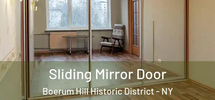  Sliding Mirror Door Boerum Hill Historic District - NY