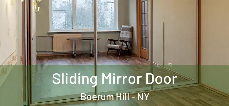  Sliding Mirror Door Boerum Hill - NY
