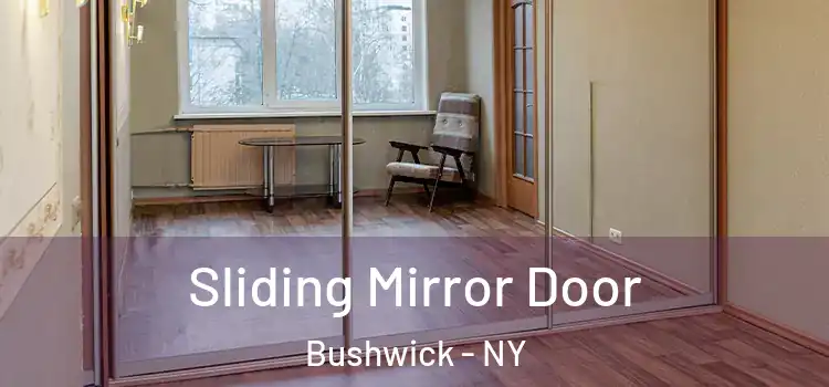  Sliding Mirror Door Bushwick - NY