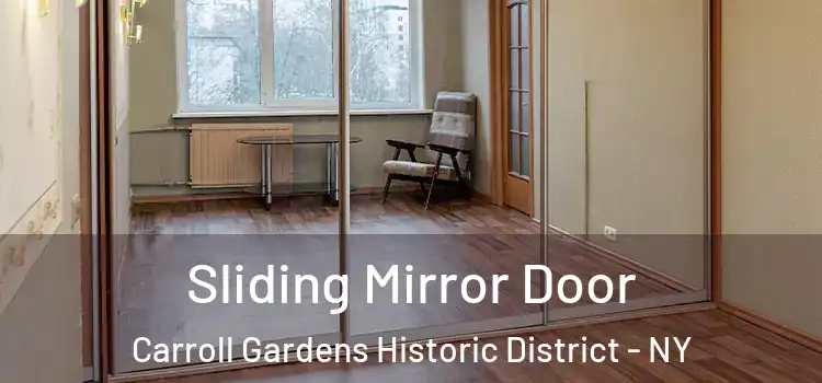  Sliding Mirror Door Carroll Gardens Historic District - NY