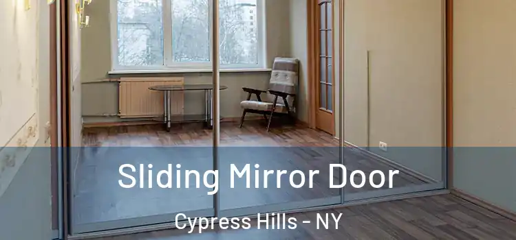  Sliding Mirror Door Cypress Hills - NY
