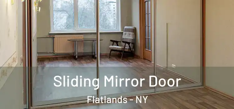  Sliding Mirror Door Flatlands - NY