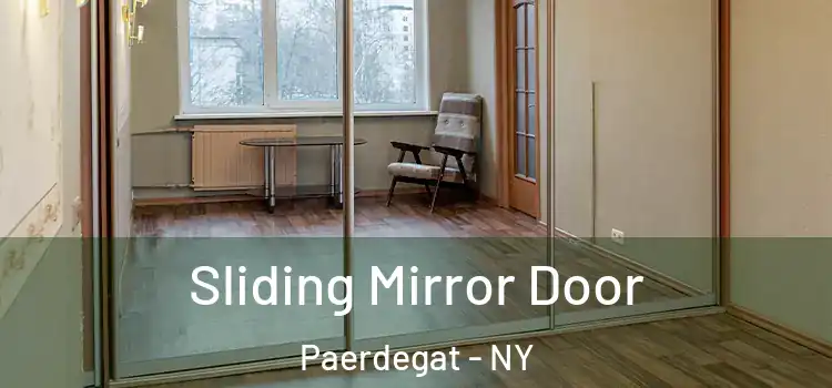  Sliding Mirror Door Paerdegat - NY