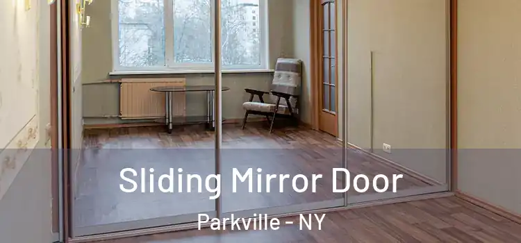  Sliding Mirror Door Parkville - NY