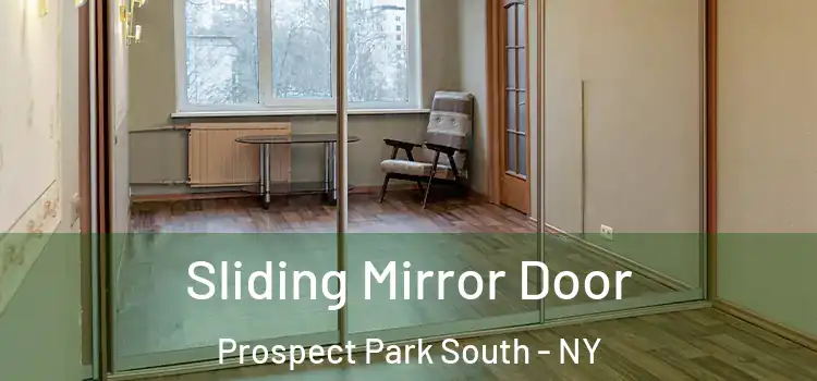 Sliding Mirror Door Prospect Park South - NY