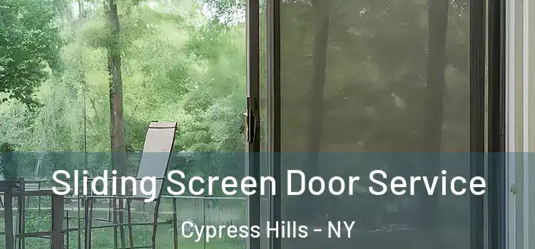  Sliding Screen Door Service Cypress Hills - NY