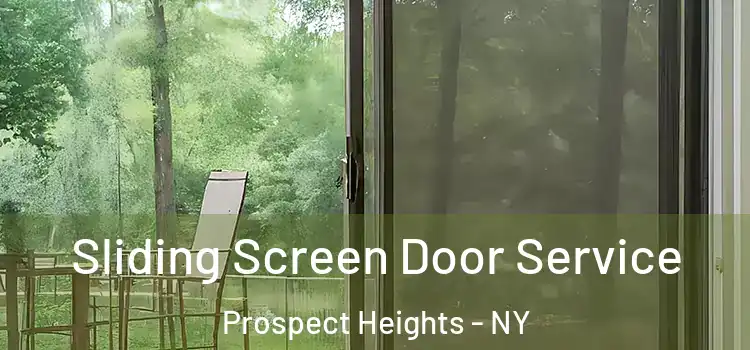 Sliding Screen Door Service Prospect Heights - NY