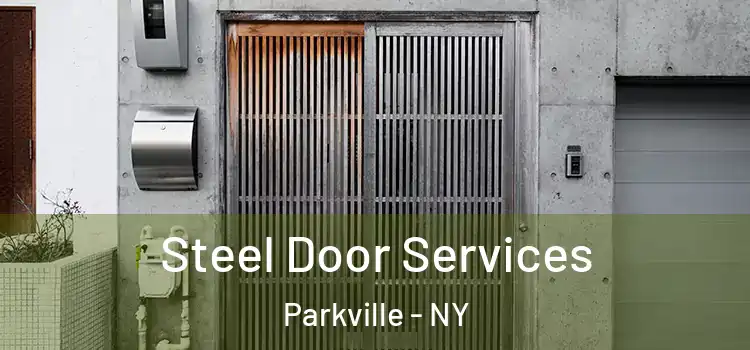  Steel Door Services Parkville - NY
