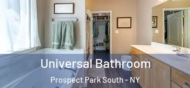  Universal Bathroom Prospect Park South - NY